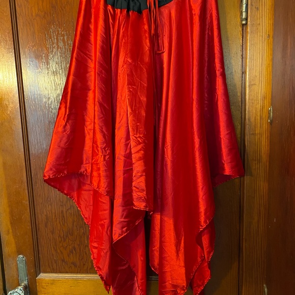 Pirate Costume-Corset & Skirt - Picture 3 of 5